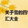 关于雪的四字词语都有什么 精选雪景描写词汇大全