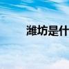 潍坊是什么城市 山东半岛重要枢纽