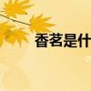 香茗是什么茶 香茗通常指茉莉花茶