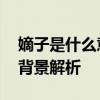 嫡子是什么意思嫡子的含义 嫡子定义与历史背景解析