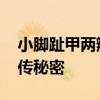 小脚趾甲两瓣是哪族人 揭秘脚趾甲分瓣的遗传秘密