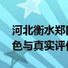河北衡水郑口中学怎么样啊 全面解析办学特色与真实评价