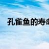 孔雀鱼的寿命是多少 影响因素与养护指南
