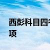 西彭科目四考试讲解 实用备考技巧与注意事项