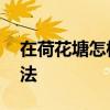 在荷花塘怎样钓鱼 荷花塘钓鱼技巧与最佳方法