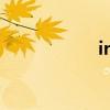 invention的意思是