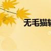 无毛猫软便怎么办 快速止泻指南