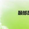颞部是哪里 位置与功能解析