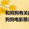 和狗狗有关的感人电影有哪些 十大必看催泪狗狗电影推荐