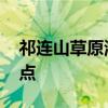 祁连山草原海拔有多高 平均海拔分布与最高点