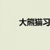 大熊猫习性 独特的生活方式和食性